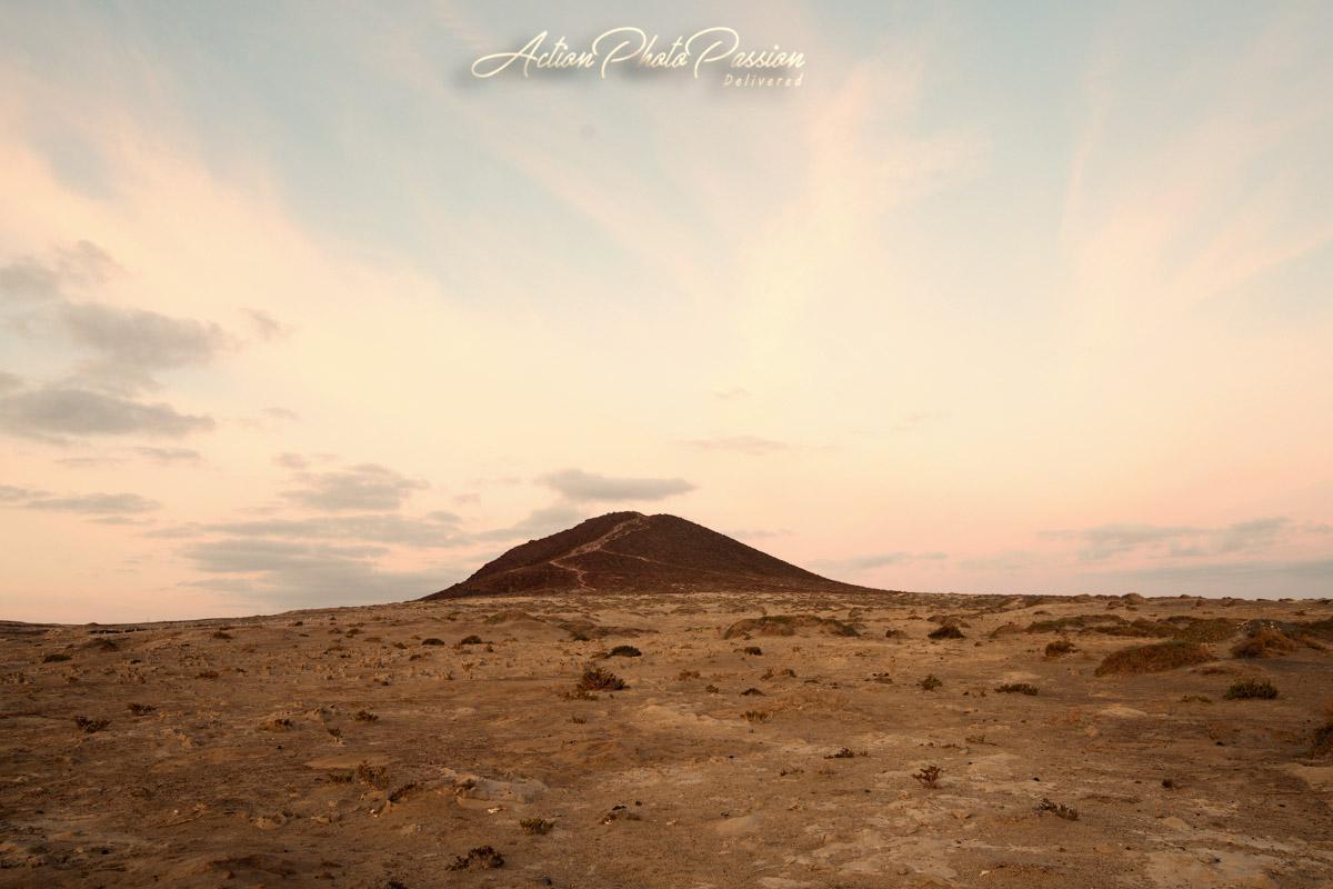 tenerife el medano el bocinegro